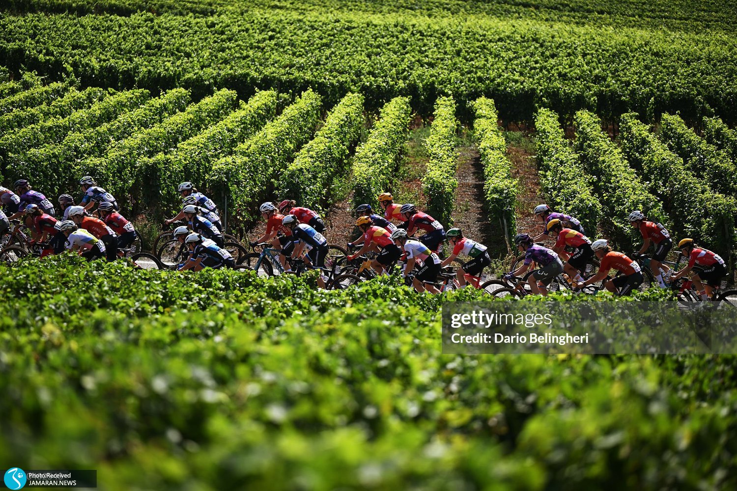 لحظات عجیب جهان ورزش