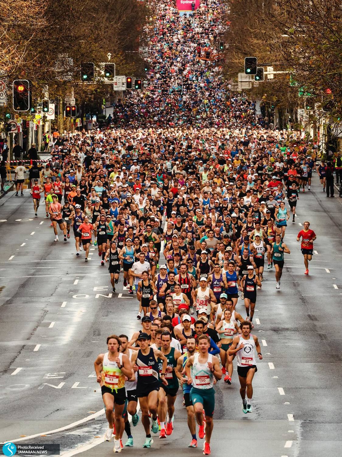 لحظات عجیب جهان ورزش