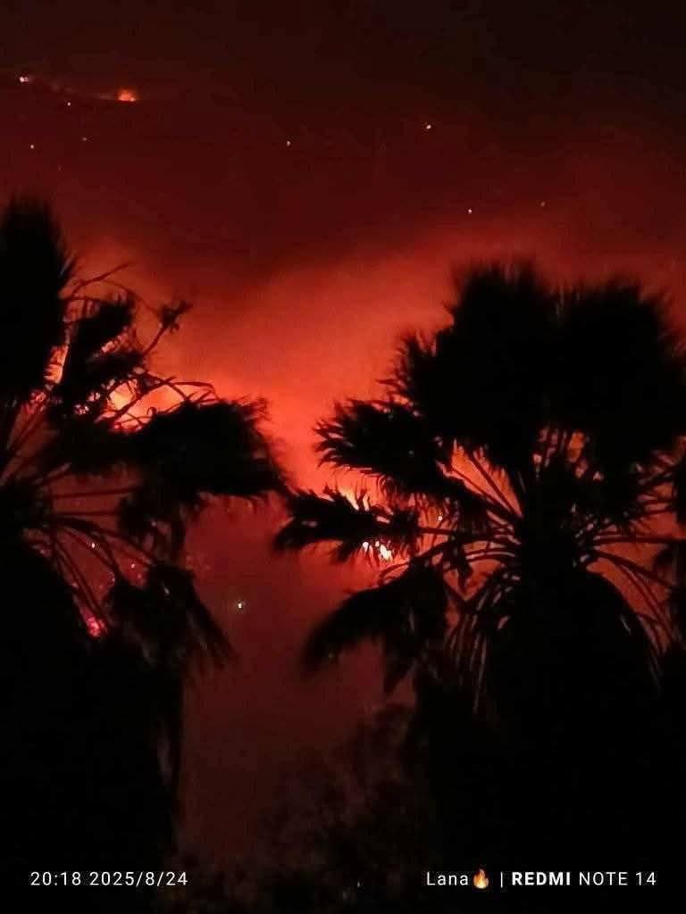 آتش‌سوزی گسترده در کوه‌های علوی غرب سوریه (2)