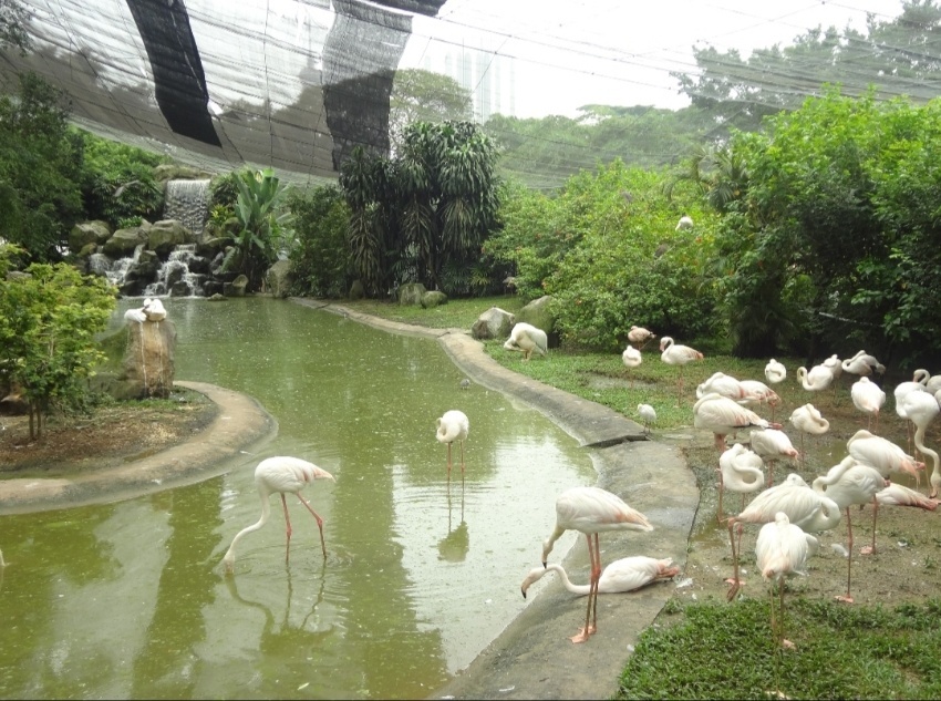 باغ پرندگان کوالالامپور