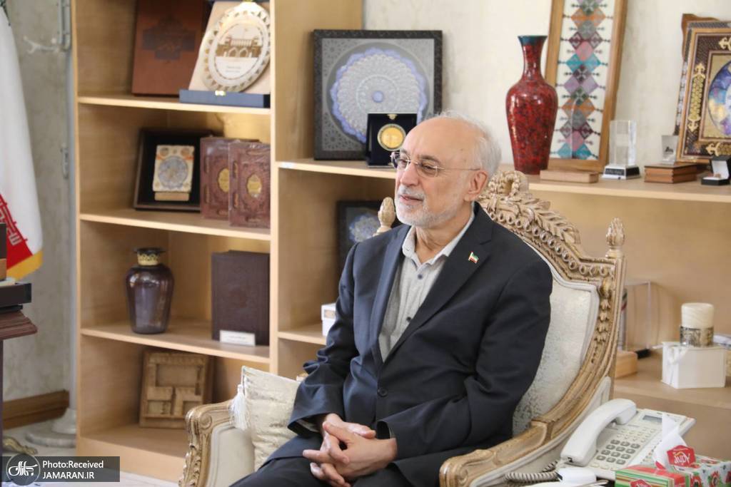 سفیر فرانسه و علی اکبر صالحی (1)