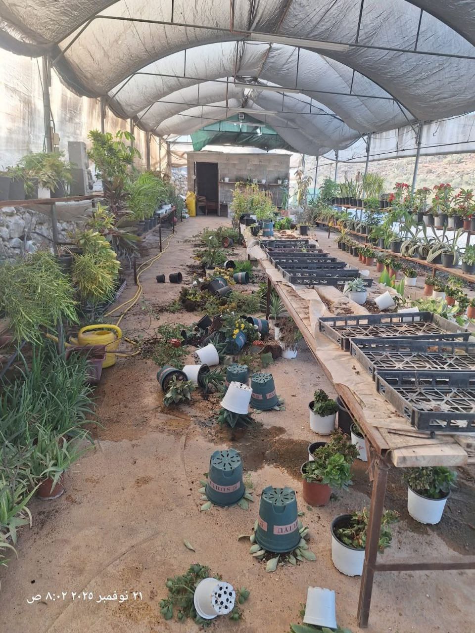 شهرک‌نشینان صهیونیست به گلخانه فلسطینی‌‌ها هم رحم نکردند