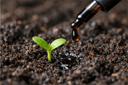 راهنمای کامل برای خرید بهترین کودها برای باغچه سبزیجات شما (3)