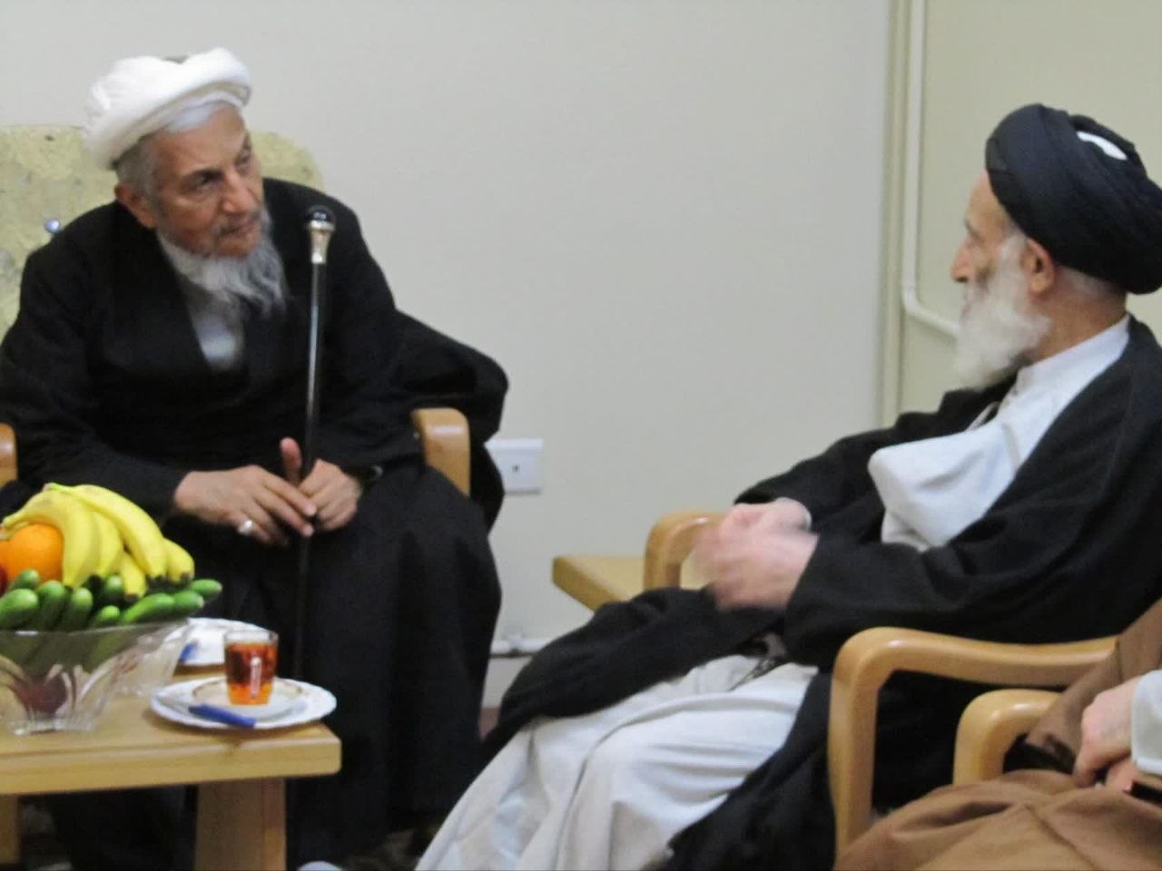 صانعی