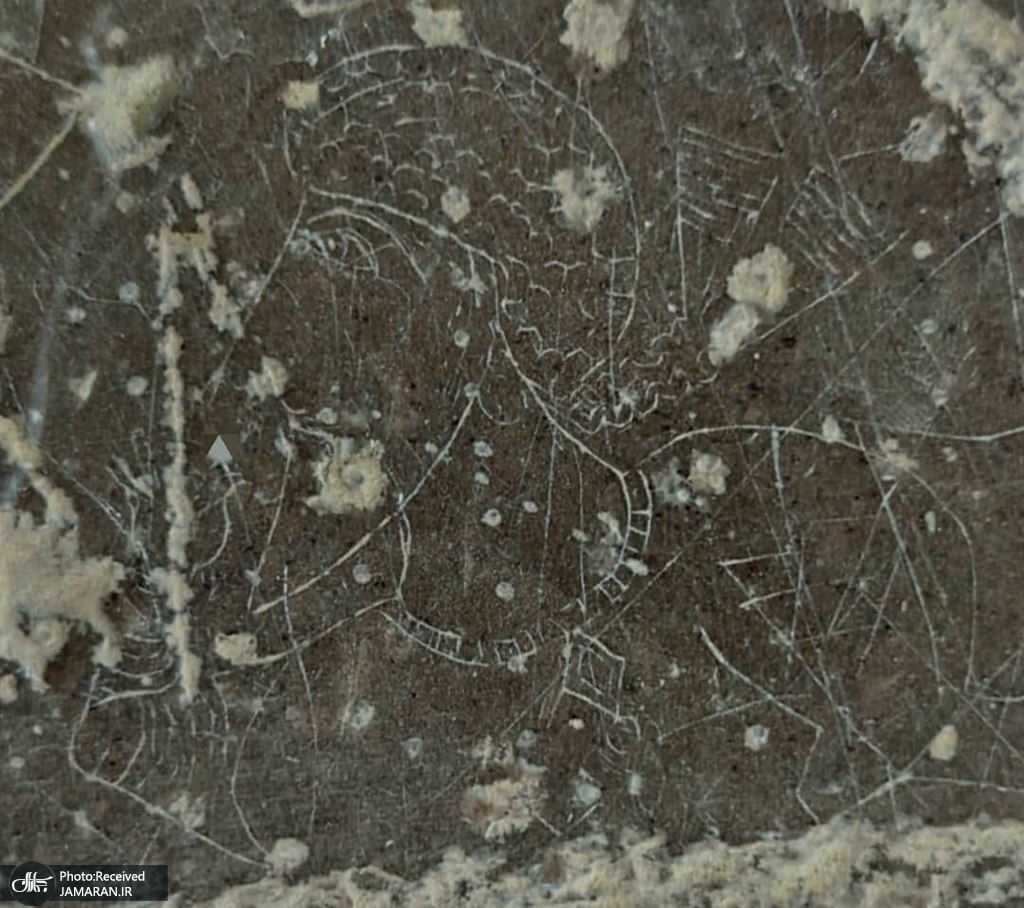 کشف سنگ‌نگاره «بزرگ‌زاده ساسانی» در مرودشت (1)