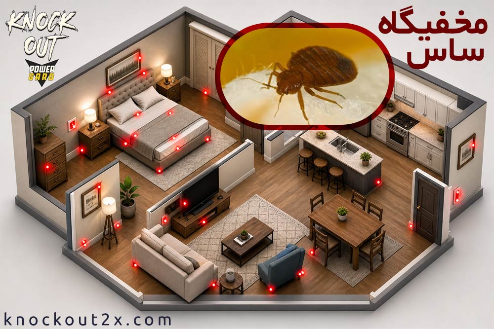 چگونه بدون نیاز به تخلیه منزل ساس را از بین ببریم؟ (آموزش سمپاشی ساس + نکات از بین بردن تخم ساس تختخواب) (3)