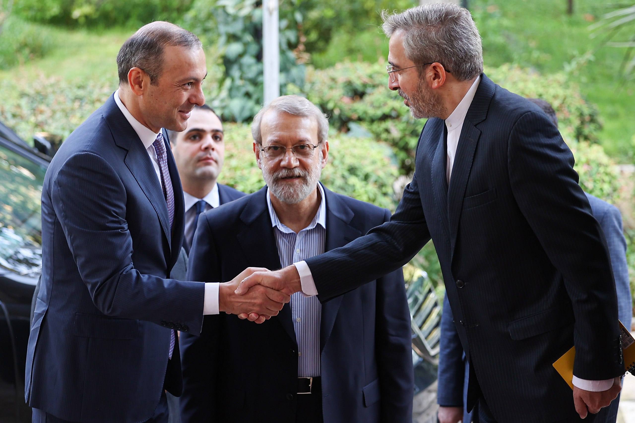 دبیر شورای امنیت ارمنستان با لاریجانی دیدار کرد (5)