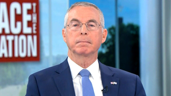 مایکل هرتزوگ