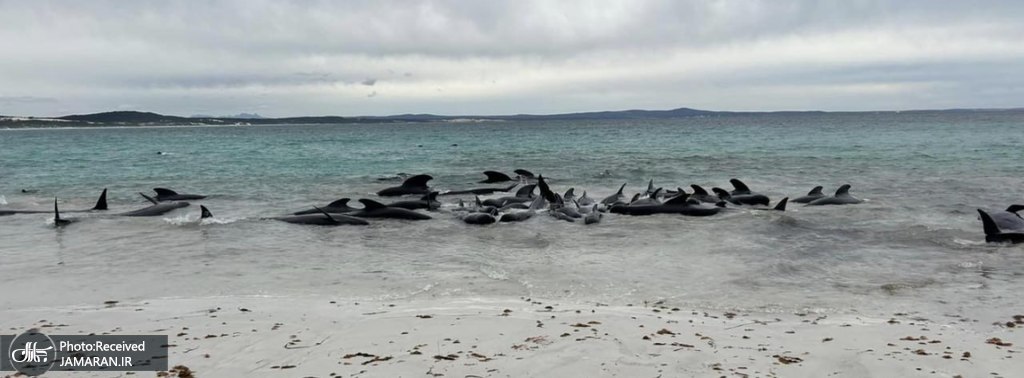 photo_2023-07-25_17-49-49