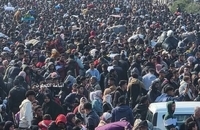 بازگشت فلسطینیان به شمال نوار غزه پس از ماه‌ها جنگ و دوری از این منطقه (6)