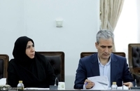 جلسه کمیته هماهنگی و نظارت بر اجرای قانون حمایت از حقوق افراد دارای معلولیت (6)