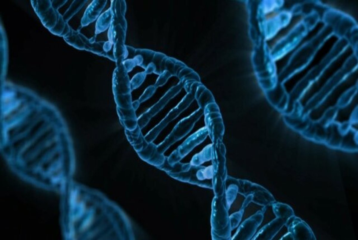 استخراج DNA از سلول گیاهی