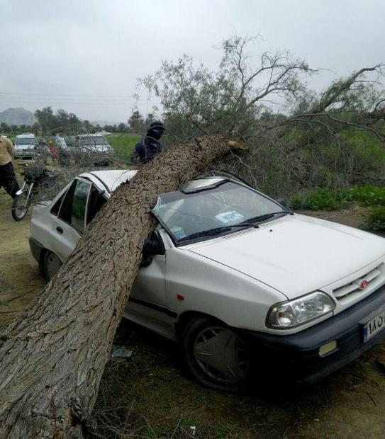 بارش باران و تندباد در اهواز31 حادثه در پی داشت