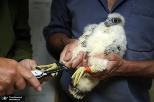 منتخب تصاویر امروز جهان - 3 خرداد 1401