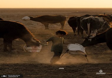 حمله خشکسالی شدید به عراق + عکس ها