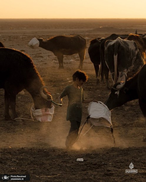 حمله خشکسالی شدید به عراق + عکس ها