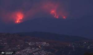 منتخب تصاویر امروز جهان- 10 مرداد 1400