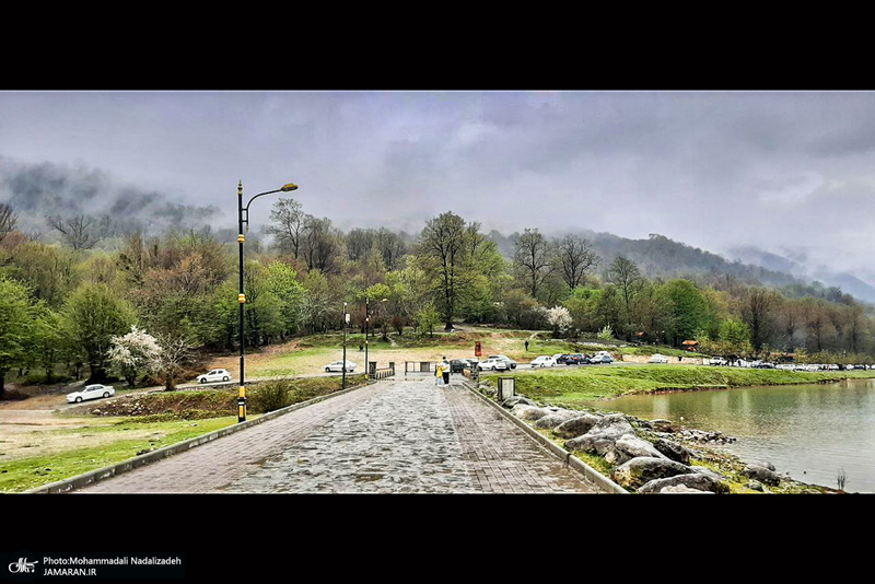 دریاچه آویدر نوشهر