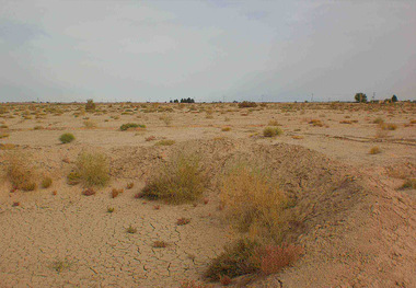 زنجان در خطر بیابانی شدن است