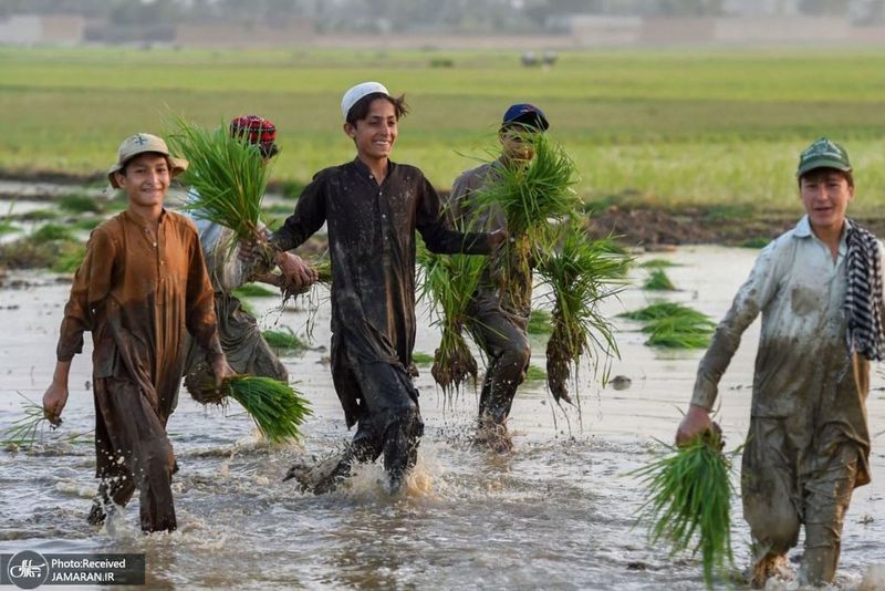 منتخب تصاویر امروز جهان- 21 خرداد 1400