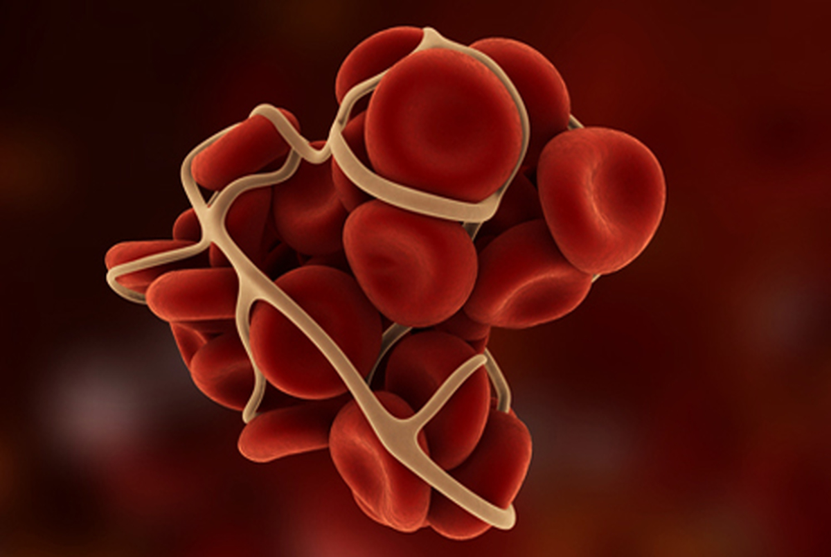 کشف پروتئین دخیل در لخته شدن خون
