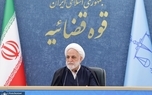 محسنی اژه‌ای: با شکست طرح کریدور جنوبی، نقشه شوم دشمن آمریکایی در نطفه خفه شد