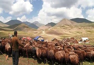 بازگشت عشایر سهند به مناطق قشلاقی