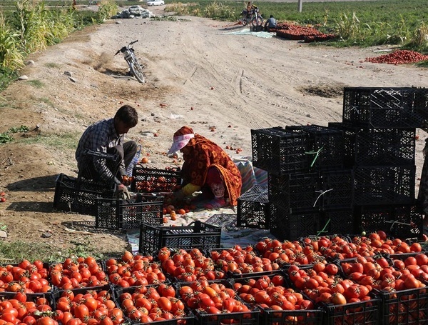 روستاهای بخش آبدان چشم انتظار توجه مسئولان  جاده‌های فرسوده تهدیدی دائمی برای اهالی