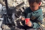 ببینید/ کودک فلسطینی غذایش را با گربه تقسیم می کند