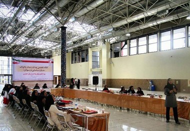 کارگاه تخصصی بهداشت مادر و کودک در ماکو برگزار شد