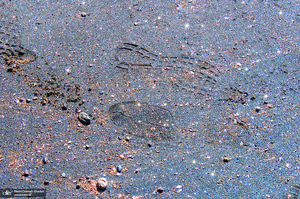 ساحل نقره‌ای جزیره هرمز