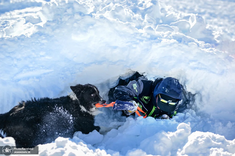 منتخب تصاویر امروز جهان - 18 بهمن 1403