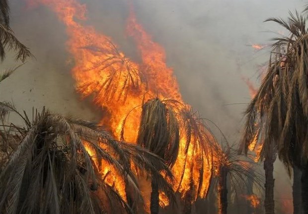 سرپرست شهرداری: آتش سوزی در نخلستان های گشت سراوان مهار شد
