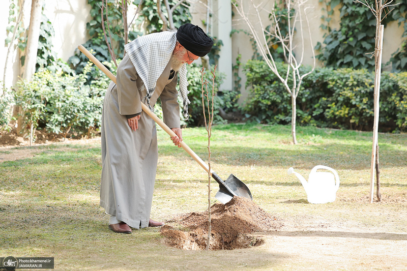 کاشت نهال در روز درختکاری توسط رهبر معظم انقلاب