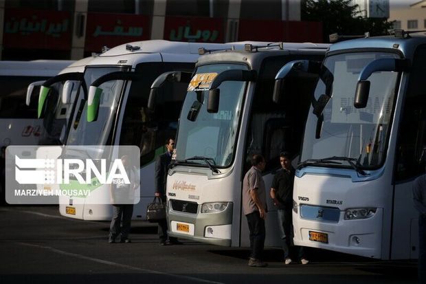۹۰۰ دستگاه اتوبوس زائران جاماندگان اربعین را جابجا می‌کند