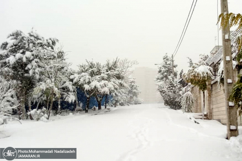 بارش برف پاییزی در برخی نقاط تهران - 25 آبان