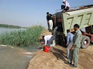 رهاسازی بیش از ده میلیون بچه ماهی در تالاب بین المللی شادگان