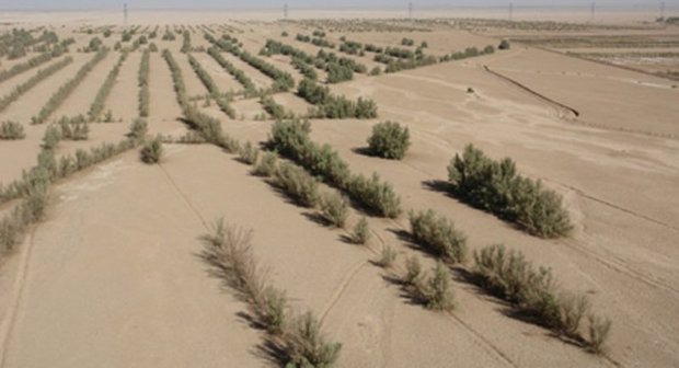 2 طرح منابع طبیعی در دیلم اجرایی شد