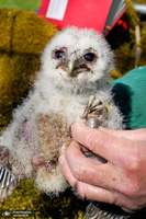 منتخب تصاویر امروز جهان- 30 اردیبهشت 1400