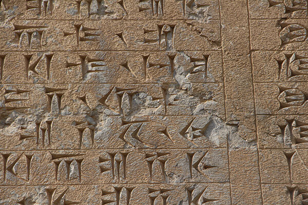 بزرگ ترین کتیبه تخت جمشید در معرض فرسایش + عکس
