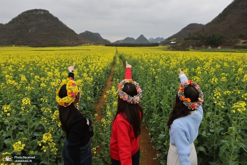 منتخب تصاویر امروز جهان - 7 اسفند 1401