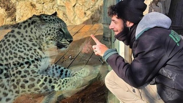 مرگ یک اسرائیلی در قدس توسط پلنگ ایرانی! + عکس