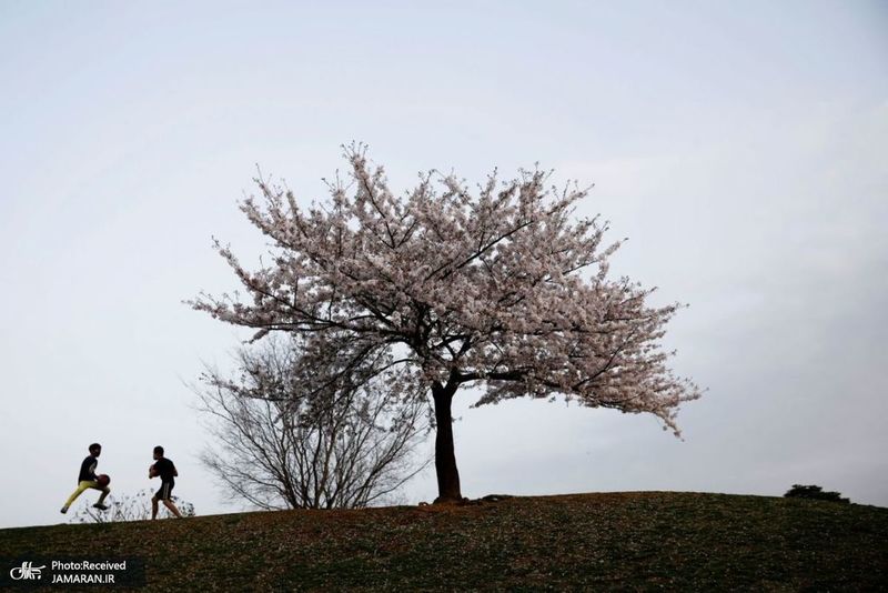 منتخب تصاویر امروز جهان- 13 فروردین 1400