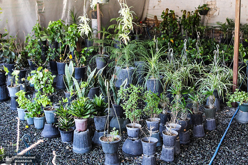 منتخب تصاویر امروز جهان- 26 خرداد 1400