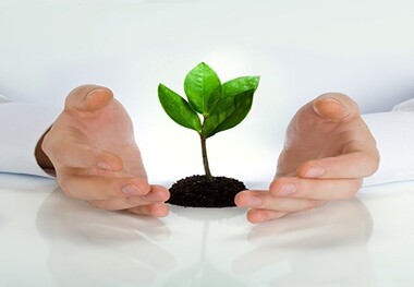 رازهای نگهداری گیاهان آپارتمانی
