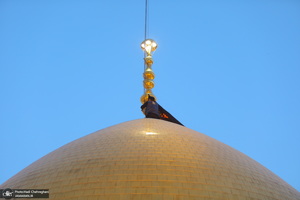 مراسم تعویض پرچم حرم حضرت معصومه (س) در شب اول ماه محرم‎‎