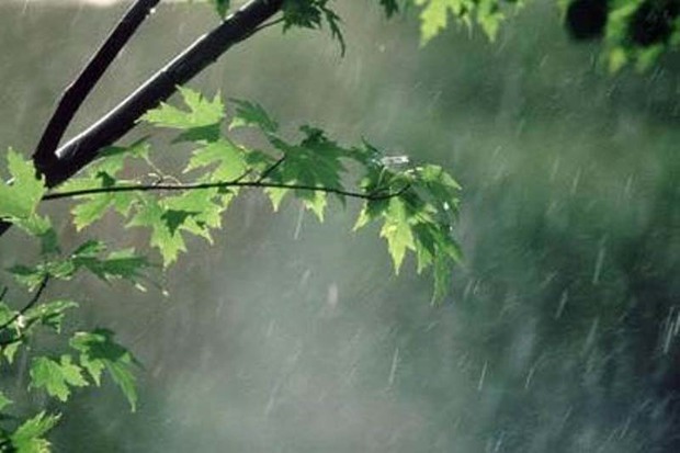 بارش های قزوین چهار درصد افزایش داشته است