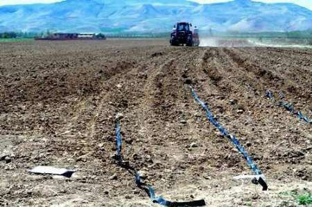اجرای آبیاری میکرو در چهار هکتار از مزارع چغندرقند میاندوآب