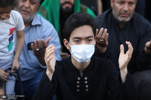 مراسم عزاداری شهادت حضرت علی(ع) با حضور آیت الله العظمی وحید خراسانی