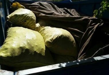 کشف 30 کیسه زغال بلوط در شهرستان کوهدشت